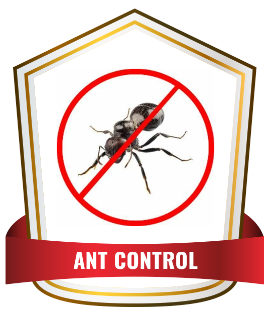 Ant Control Services Sydney