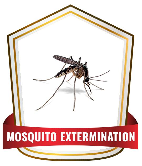 Mosquito Extermination control