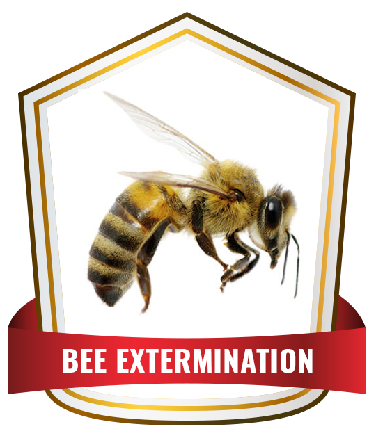 bee control service