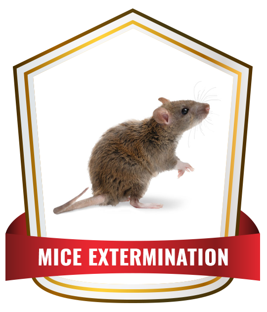 Mice Extermination Control