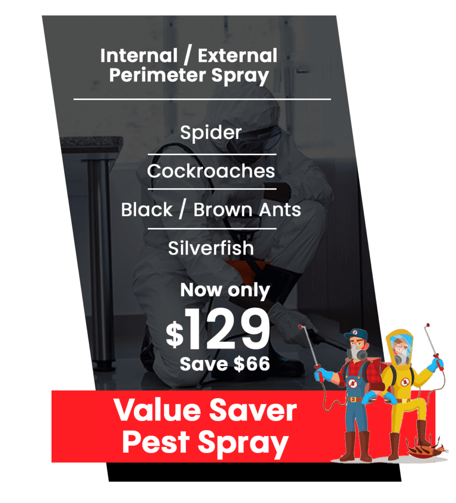 Pest Control Sydney | Pest Exterminator | Pest Control Experts