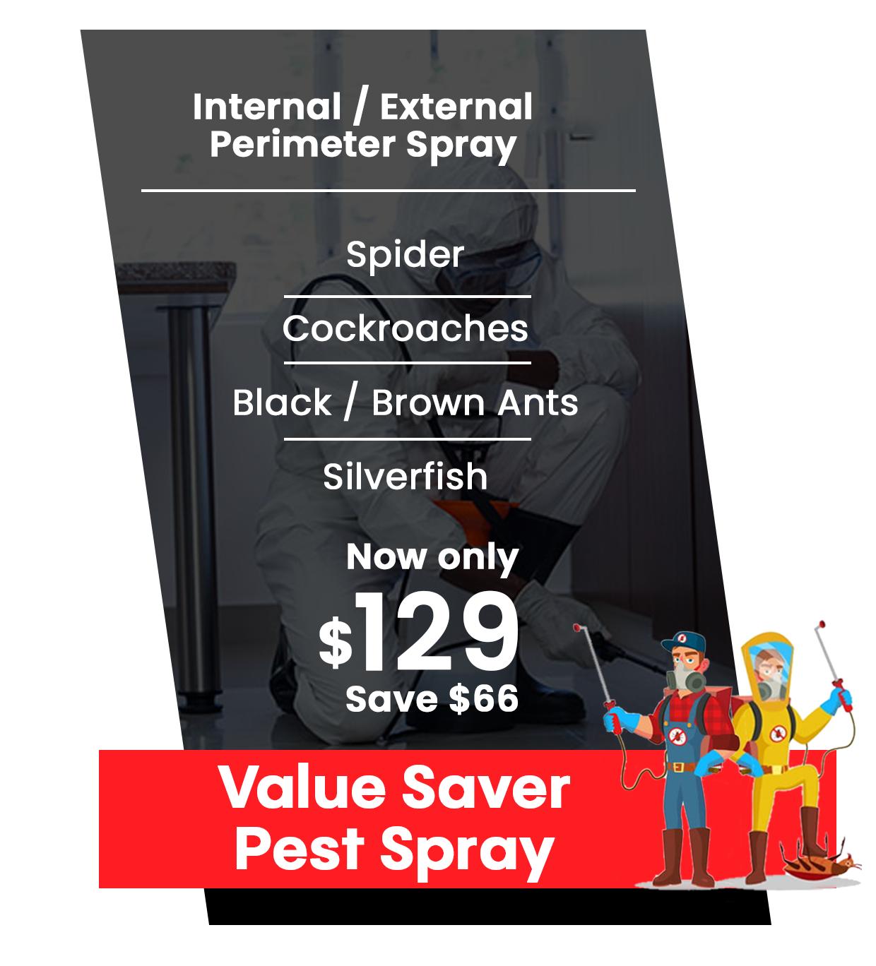 Pest Spray Packages Sydney