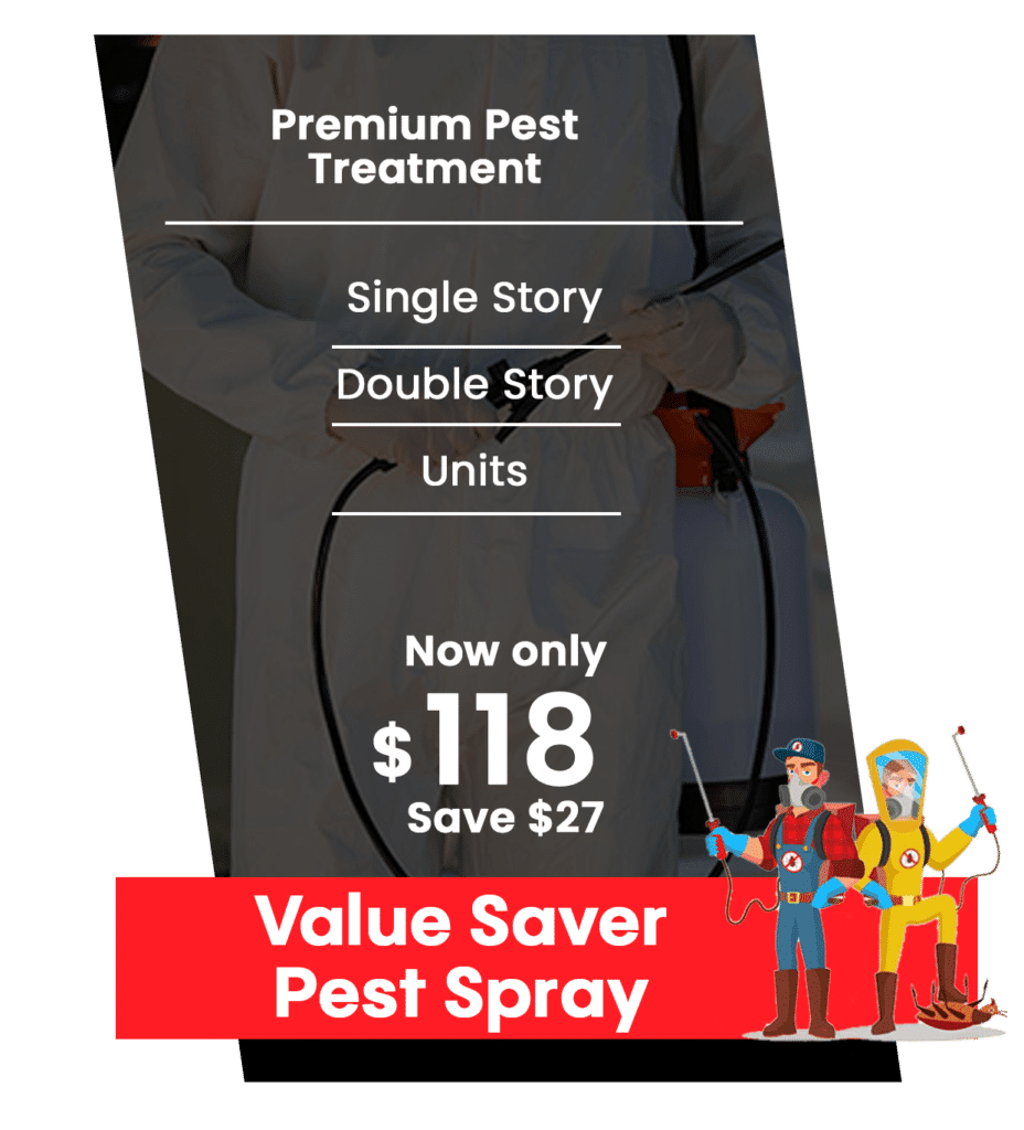 🐞 Best Pest Control Services in Sydney Get Rid of Termites, & Rodent