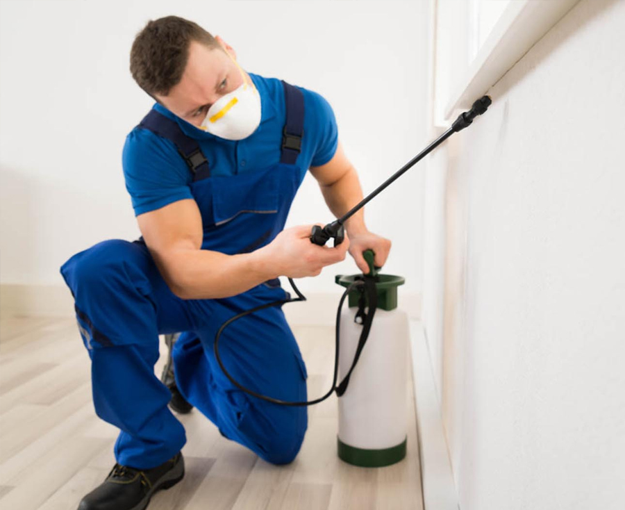 General Pest Removal and Control