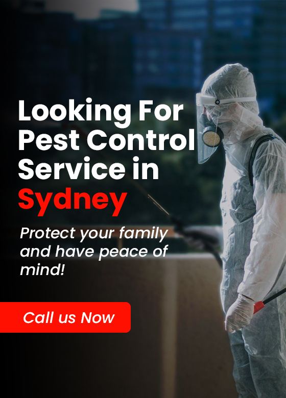 Pest Control Service In Sydney