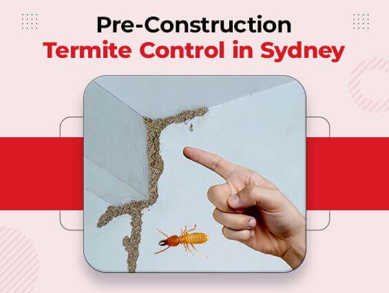 Pre-construction Termite Control Sydney