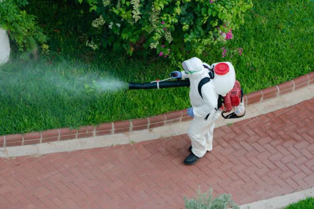 Non-Toxic Pest Solutions for Family Homes
