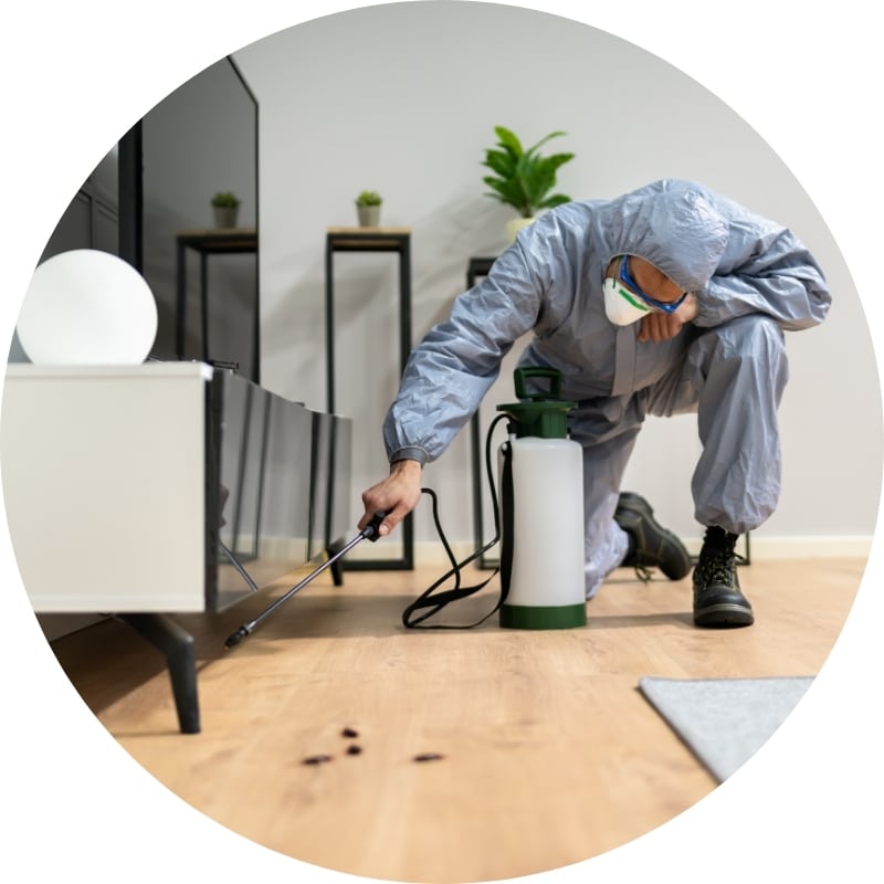 Reliable Cockroach Pest Control Experts in Sydney​