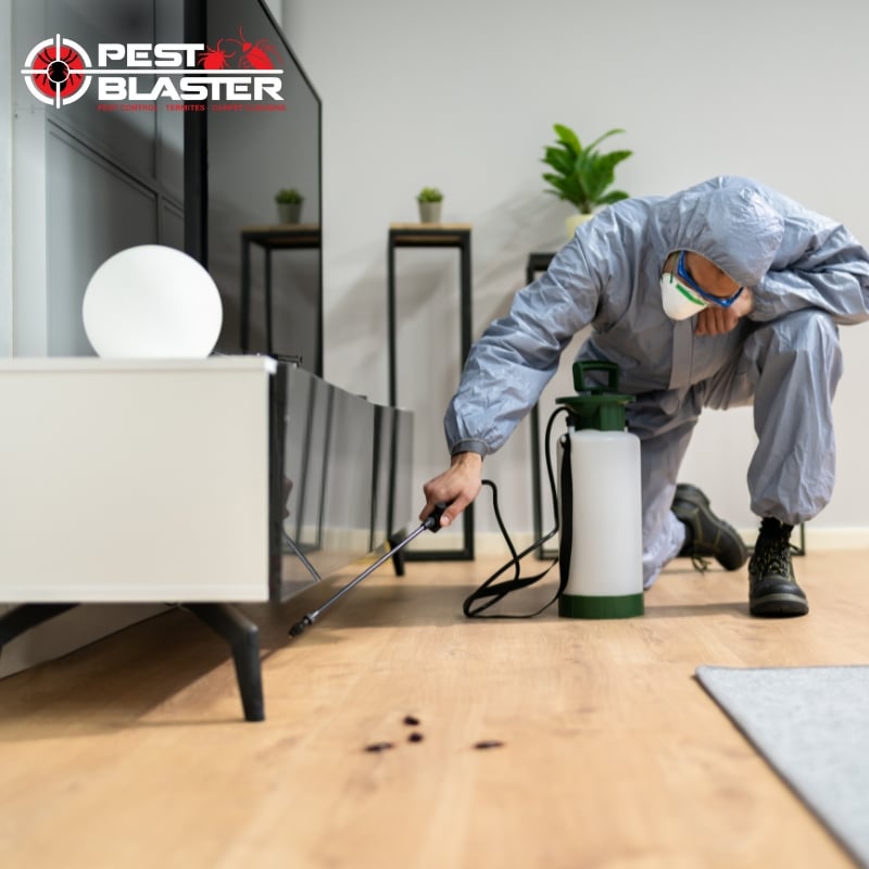 A pest control professional applying treatment in a room to eliminate unwanted pests effectively.