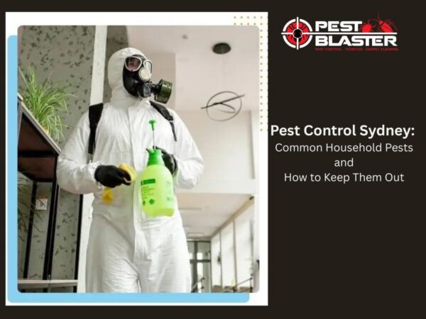 Pest Control Sydney: Common Household Pests and How to Keep Them Out