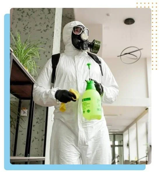 Sydney Pest Controller
