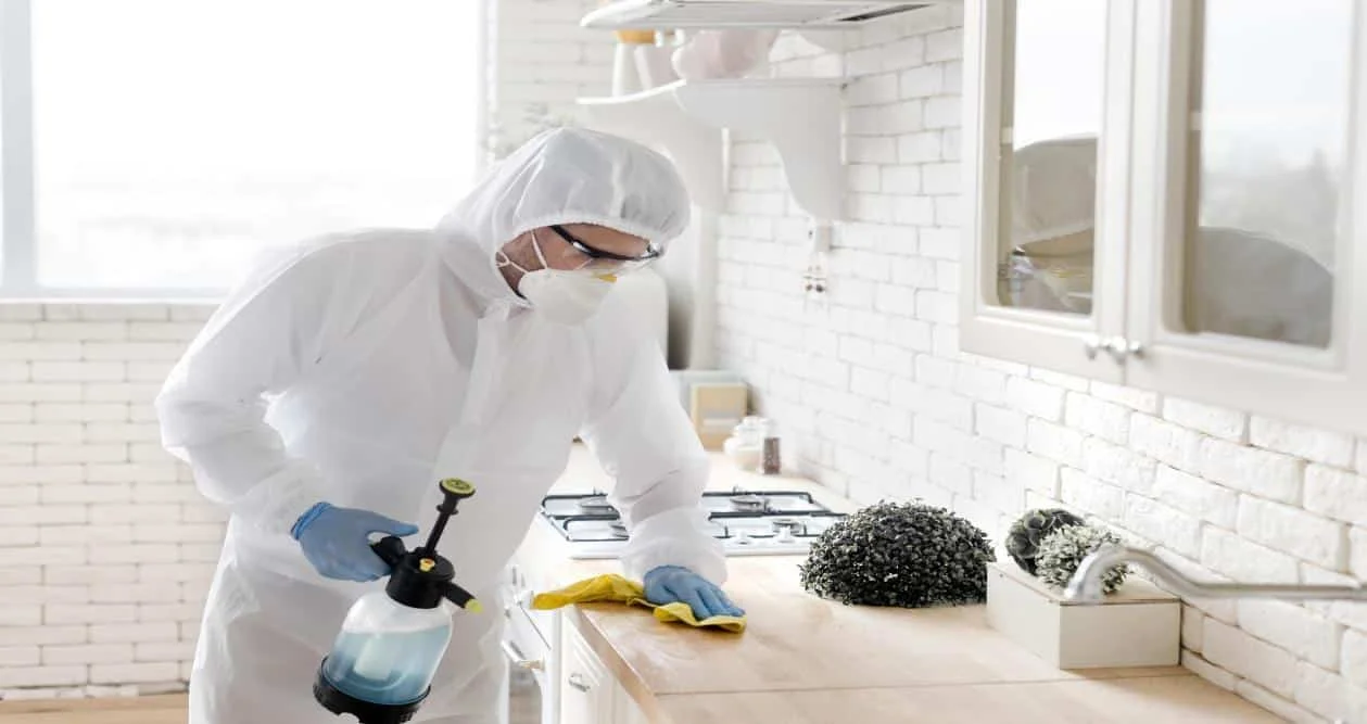 Sustainable Pest Control Practices