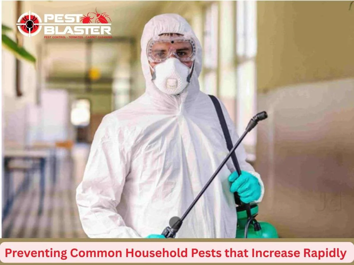 Pest Control Parramatta