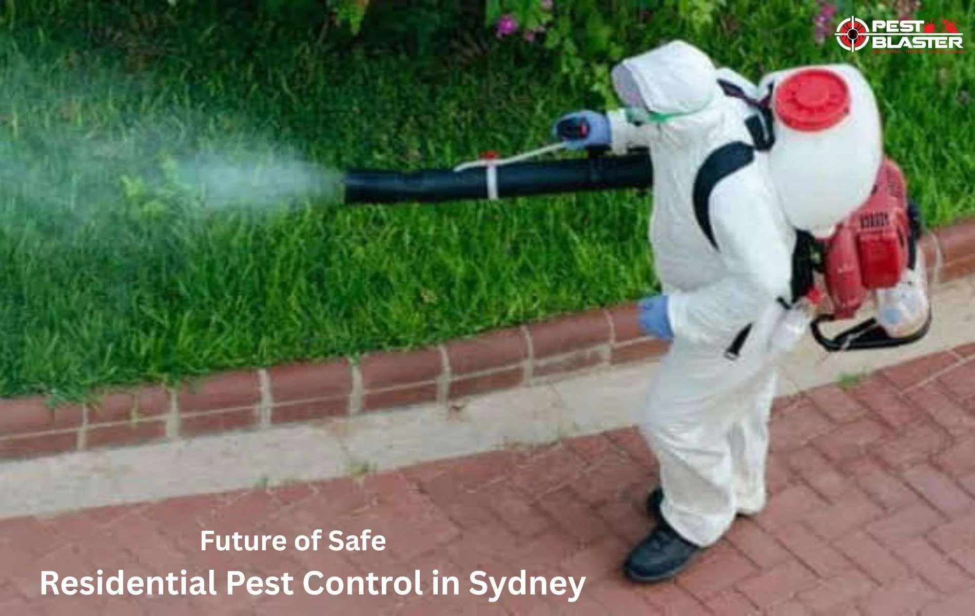 Residential Pest Control Sydney